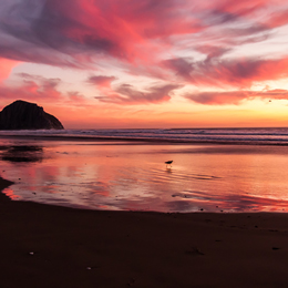 Sunrise over the ocean.